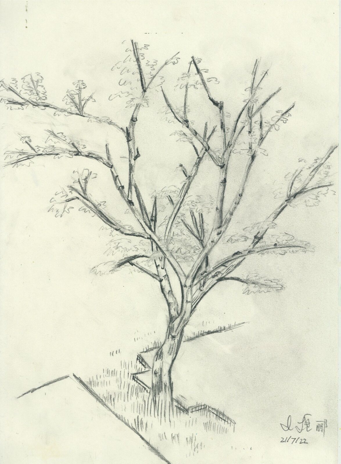July 22, 2021, Allegroitalia Shanshui Villa, Guilin. Pencil.